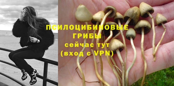 spice Балабаново